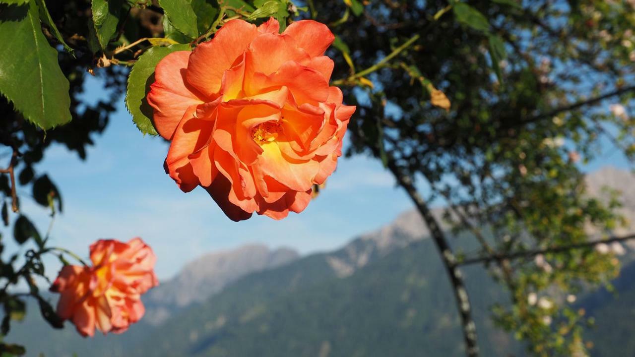 IrschenBergh Am Berg公寓 外观 照片