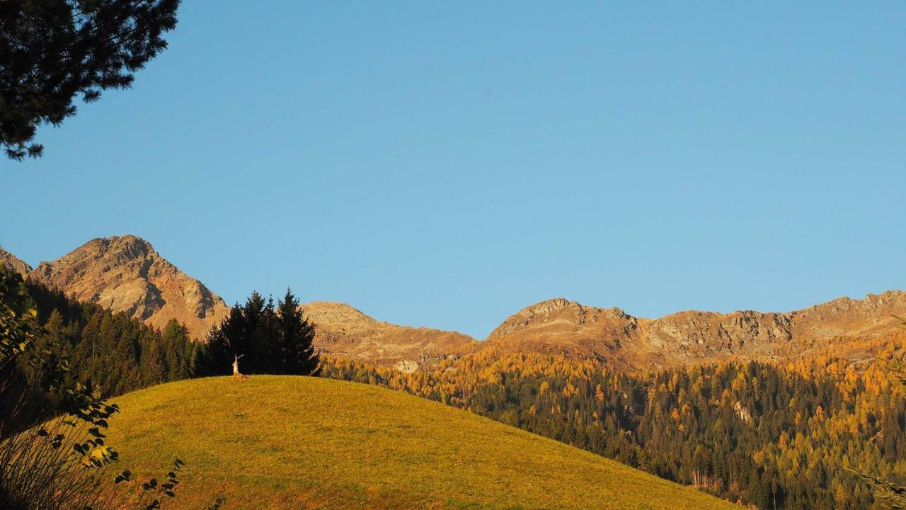 IrschenBergh Am Berg公寓 外观 照片
